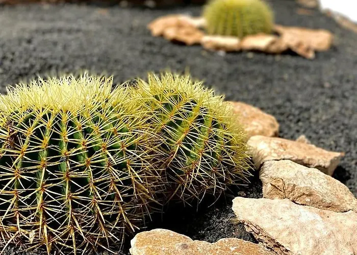 Vivienda Sostenible, Vistas Espectaculares
