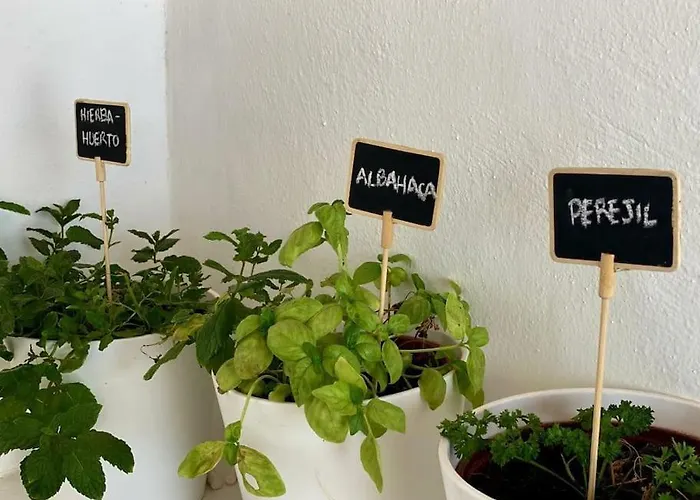 Vivienda Sostenible, Vistas Espectaculares Тиндайя