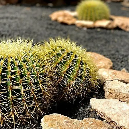 Vivienda Sostenible, Vistas Espectaculares