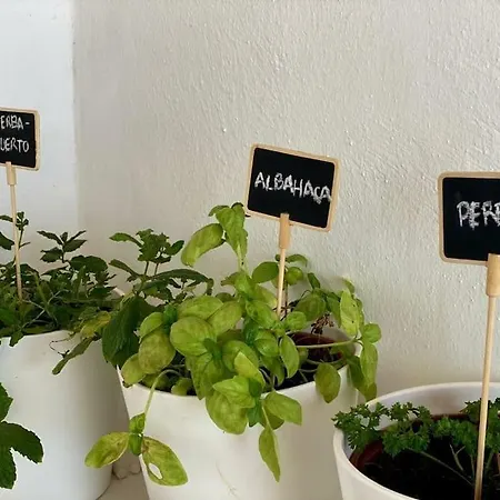 Vivienda Sostenible, Vistas Espectaculares Tindaya